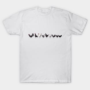 Chickens in a row T-Shirt